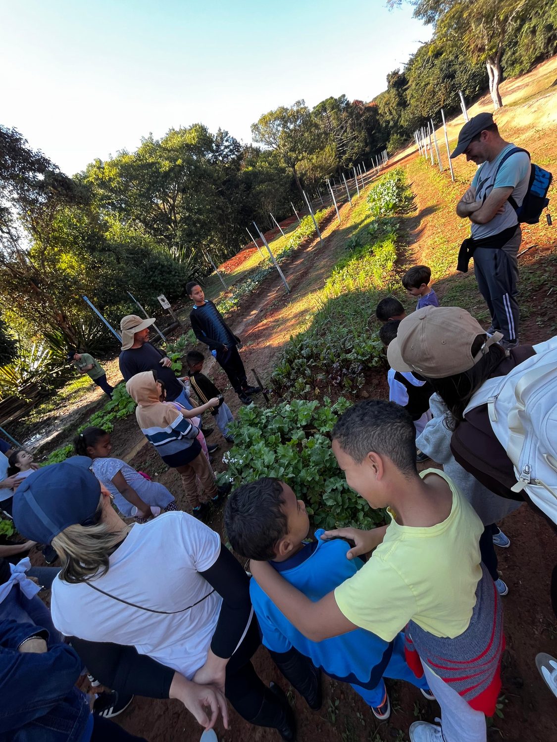 Estudantes na área de cultivo e canteiros do Centro Ambiental Cedro, em Oliveira/MG